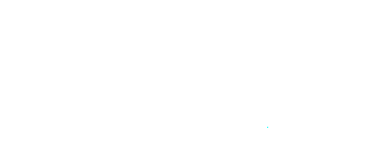 Picerne - Logo - White